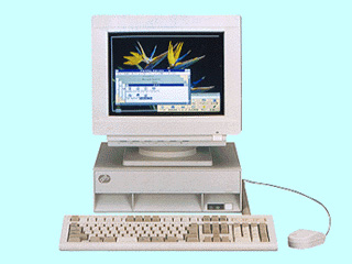 IBM PS/V 2405-N01