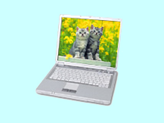 NEC LaVie G タイプL GL14ML/R1 PC-GL14MLRM1