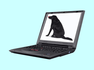 IBM ThinkPad i 1200 1161-91J