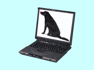 IBM ThinkPad i 1400 2621-496