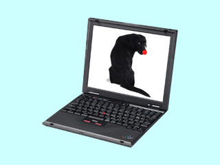 IBM ThinkPad i 1620 2661-23J