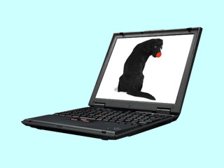 IBM ThinkPad i 1620 2661-2CJ