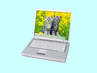 NEC LaVie G タイプL GL14ML/G1 PC-GL14MLGE1
