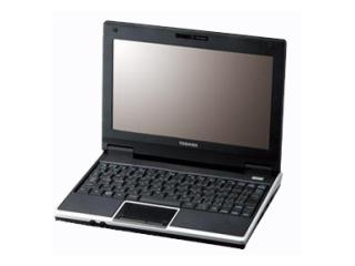 TOSHIBA ネットブックPC NB100 PANB100NL