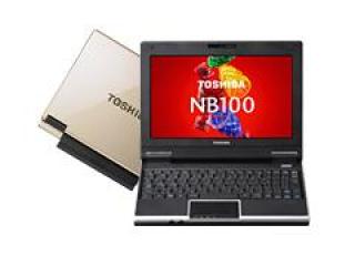 TOSHIBA Direct ネットブックPC NB100/HW PANBW100HNLW3 シャンパンゴールド