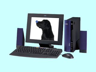 IBM Aptiva E 13J 2197-13T