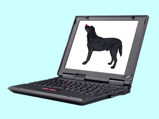 IBM ThinkPad i 1124 2609-53J