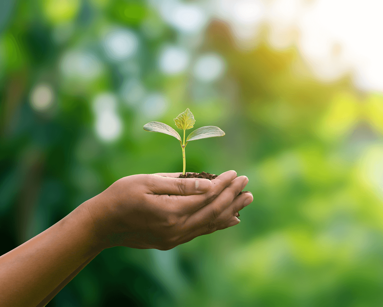 環境の保護のイメージ