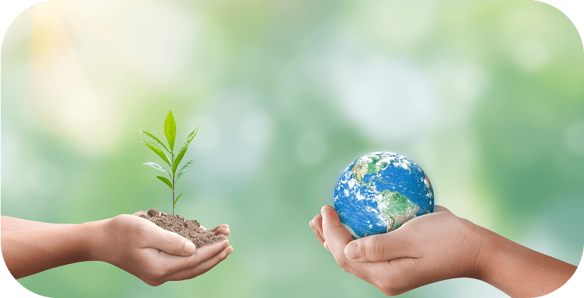 環境に優しい取り組み